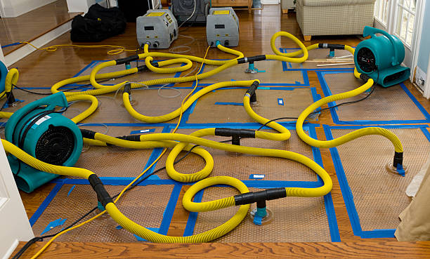 Professional Water Damage Repair technician working in Broadway, VA